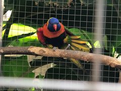 -大连森林动物园