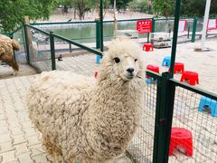 -新疆天山野生动物园