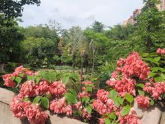 -曼听御花园