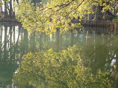 -东湖落雁景区
