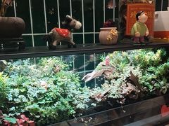 -堂屋糖水店(愚园店)