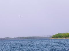 -丁香湖公园