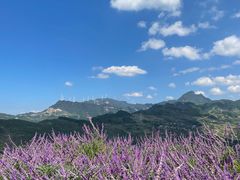 -重庆睡佛山森林公园