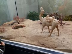 -北京人艺戏剧博物馆