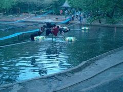 android_upload_pic-沈阳植物园