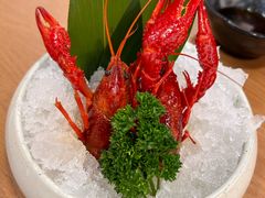 -菊上•尊品料理(蚌埠银泰店)