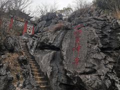 -逸廊大堂吧-下午茶·简餐-千岛湖自由洲际殿