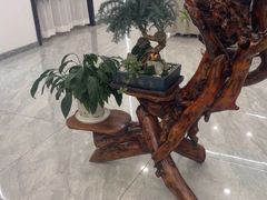 -正沅堂正骨推拿·功效养生(总店)