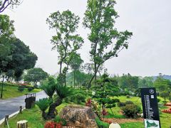 -东莞植物园