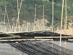 -北岐滩涂