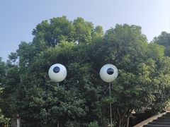 -合肥野生动物园