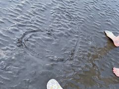-南汇新城海滩