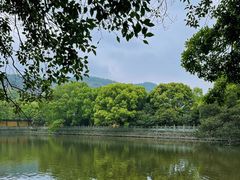 -阿育王寺