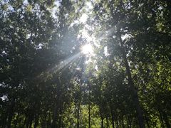 -淇河金沙滩
