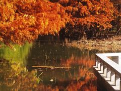 -白塘生态植物园