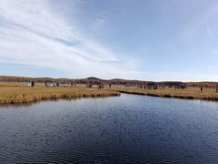 -塞罕坝国家级自然保护区