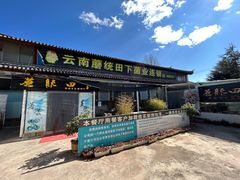 -蘑统田下·野生菌火锅