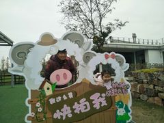 -田园东方蜜桃村的田野营地