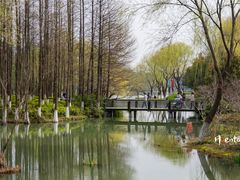 -青枫公园