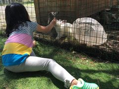 -云南滇池花园国际大酒店温泉