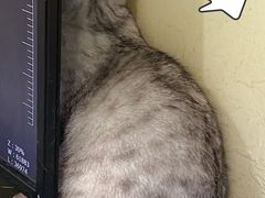 -美迦爱-牙专科·兔科·骨科诊疗中心(北苑店)