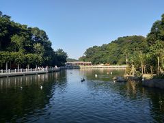 -广州市帽峰山景区