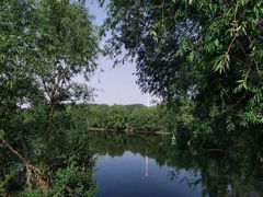 -长白岛森林公园