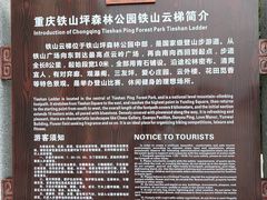 -铁山坪森林公园