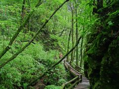 -青城山