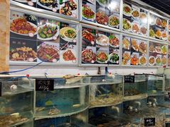 -鑫渔港海鲜本地菜·山海关浑锅(东戴河店)