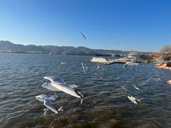 -海埂大坝