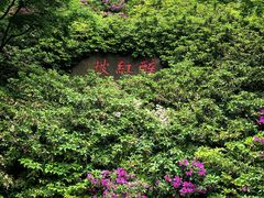 -惠山国家森林公园