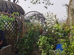 -大隐花事(熊婆婆的花园店)