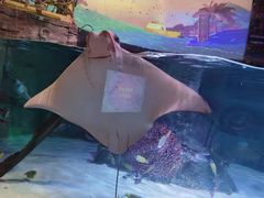 -沈阳海洋探索中心