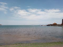 -宾朋海鲜美食特色餐厅·纯手工鲅鱼水饺(兴海路店)