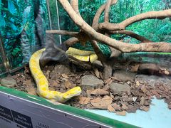 -广州长隆飞鸟乐园
