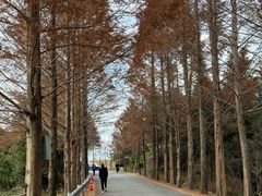 -泽雅景区