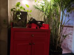 -HIGH FIVE哈福手工汉堡(桂林路店)