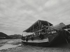 -北岐滩涂