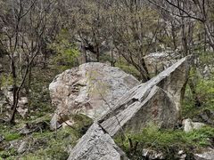 -王顺山国家森林公园