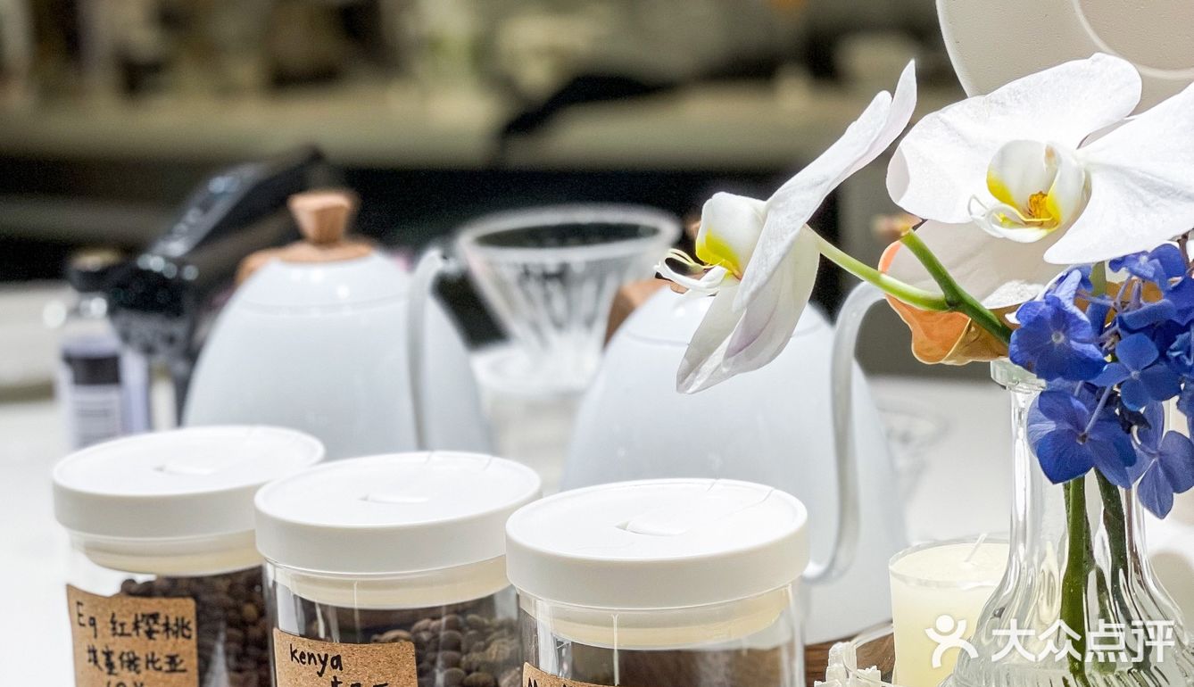 杭州凤凰山景区可以撸猫的咖啡馆超赞