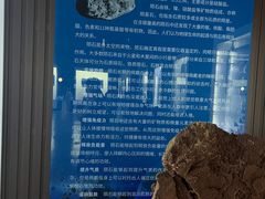 -贝壳王国博物馆