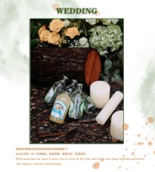 -HELLO你好婚礼婚庆策划