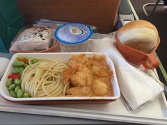 -新加坡航空公司(ION)