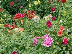 -黄河三峡风景名胜区