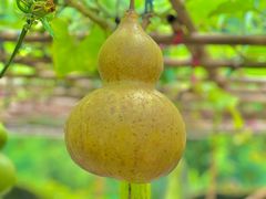 -青青世界