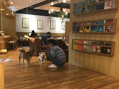 -柴务处·柴犬主题狗咖