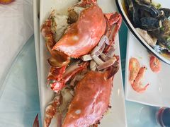 -金海湾海鲜排档(朱家尖店)
