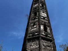 -上海佘山国家森林公园天马山园