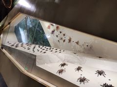 -长江文明馆